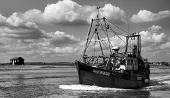 在线电话压力测试