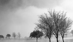 在线短信轰炸网页版